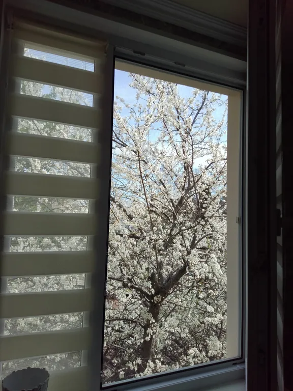 Коттедж 1-комнатный Дом — Ялта