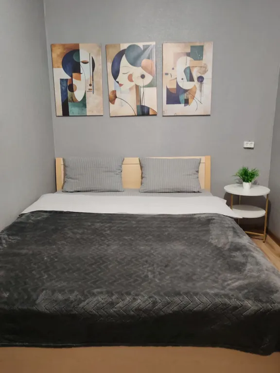 Практичная квартира в центре — аренда посуточно в Подольск