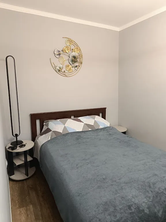 Квартира Уютная квартира в центре левобережья — Новосибирск