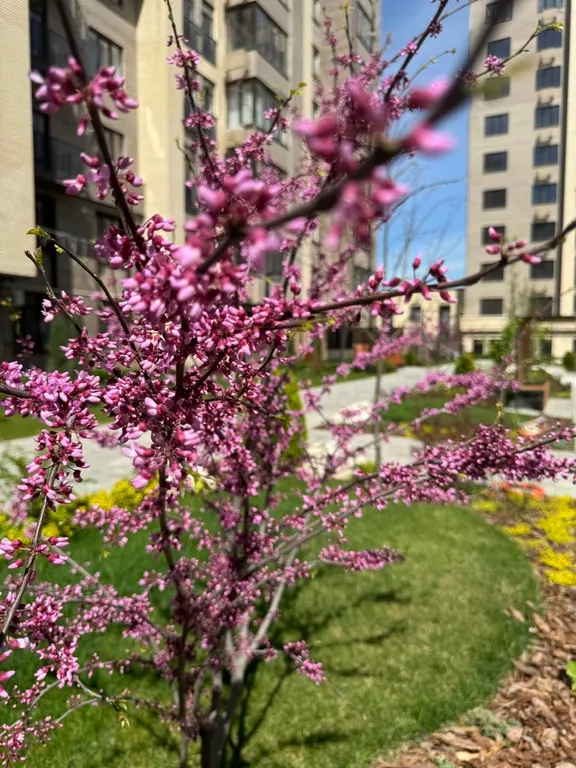 Жилье люкс в центре Владикавказа