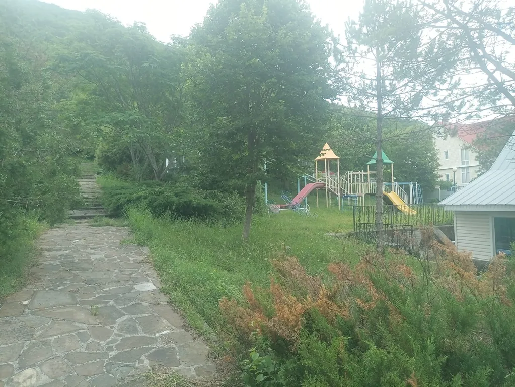 Апартаменты в лесу