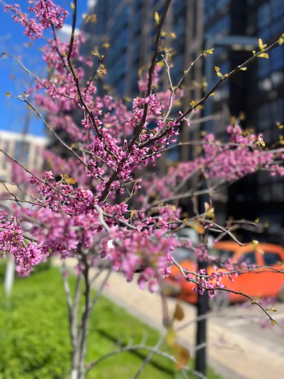 Квартира Квартира Комфортная cтудия c cовремeнным peмонтом, в жк комфорт + — Краснодар