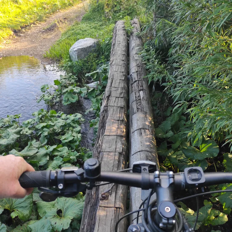 Видовой дом в лесу