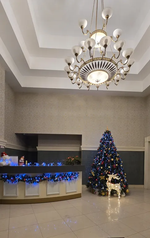 Просторная квартира в центре для семейного отдыха