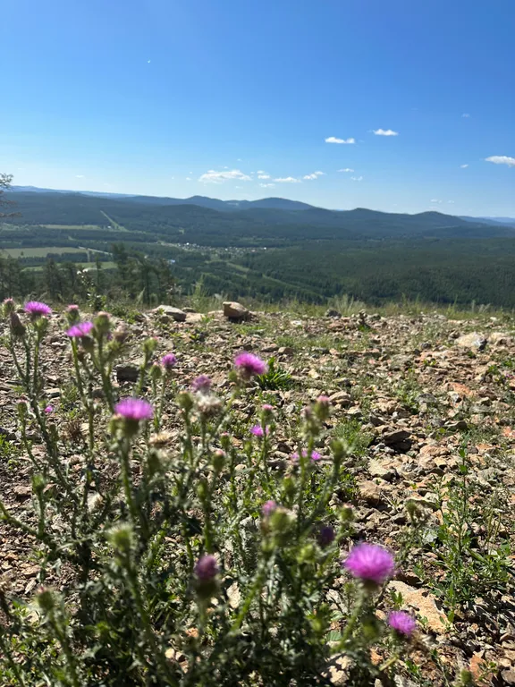 Апартаменты в ГЛК Солнечная долина, Миасс, Business Residence