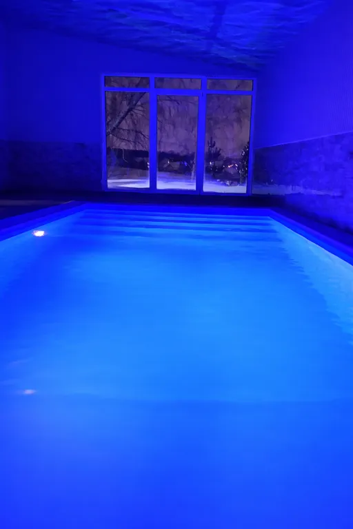 Коттедж Дом с сауной и тёплым бассейном у пруда — аренда посуточно в Подольск