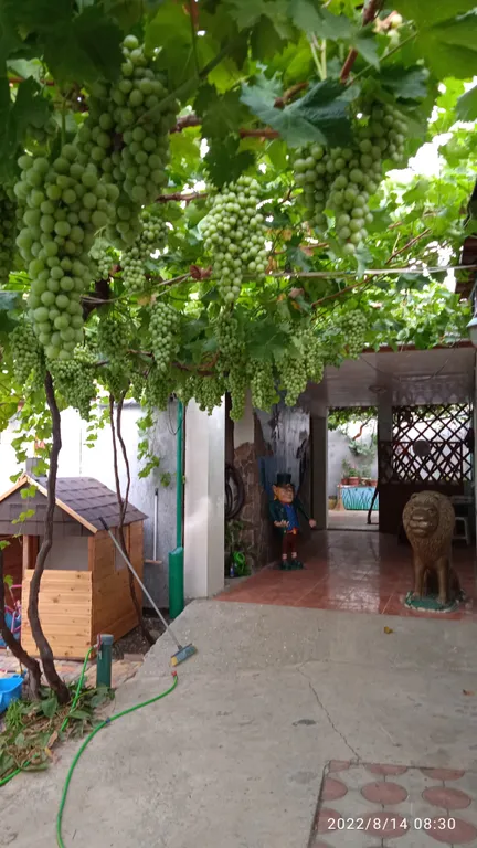 Номер с санузлом и прихожей