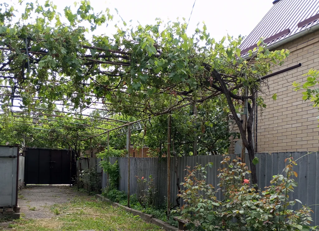 Комната в доме