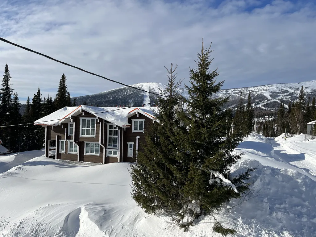Усадьба в лесу с видом на горы