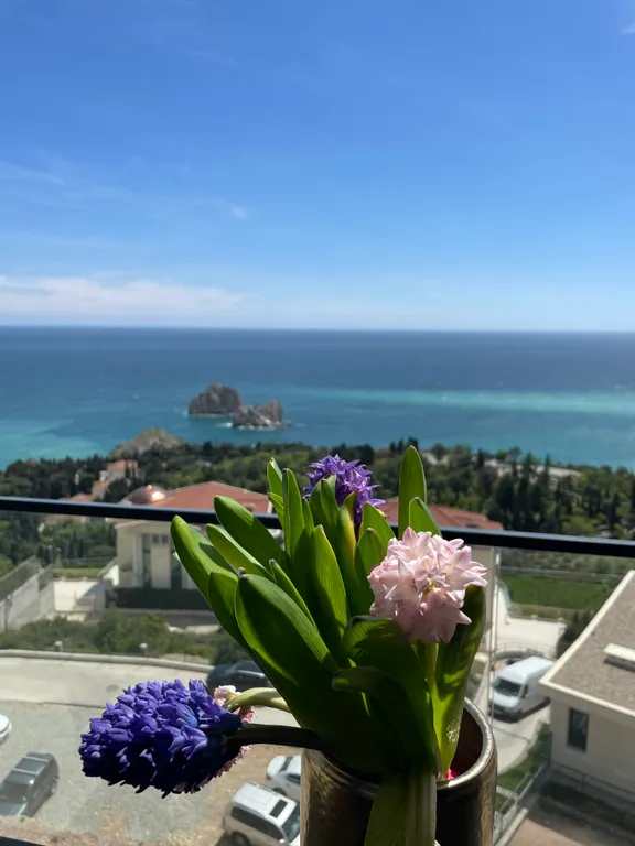 Апартаменты в Гурзуф Ривьере, главном корпусе