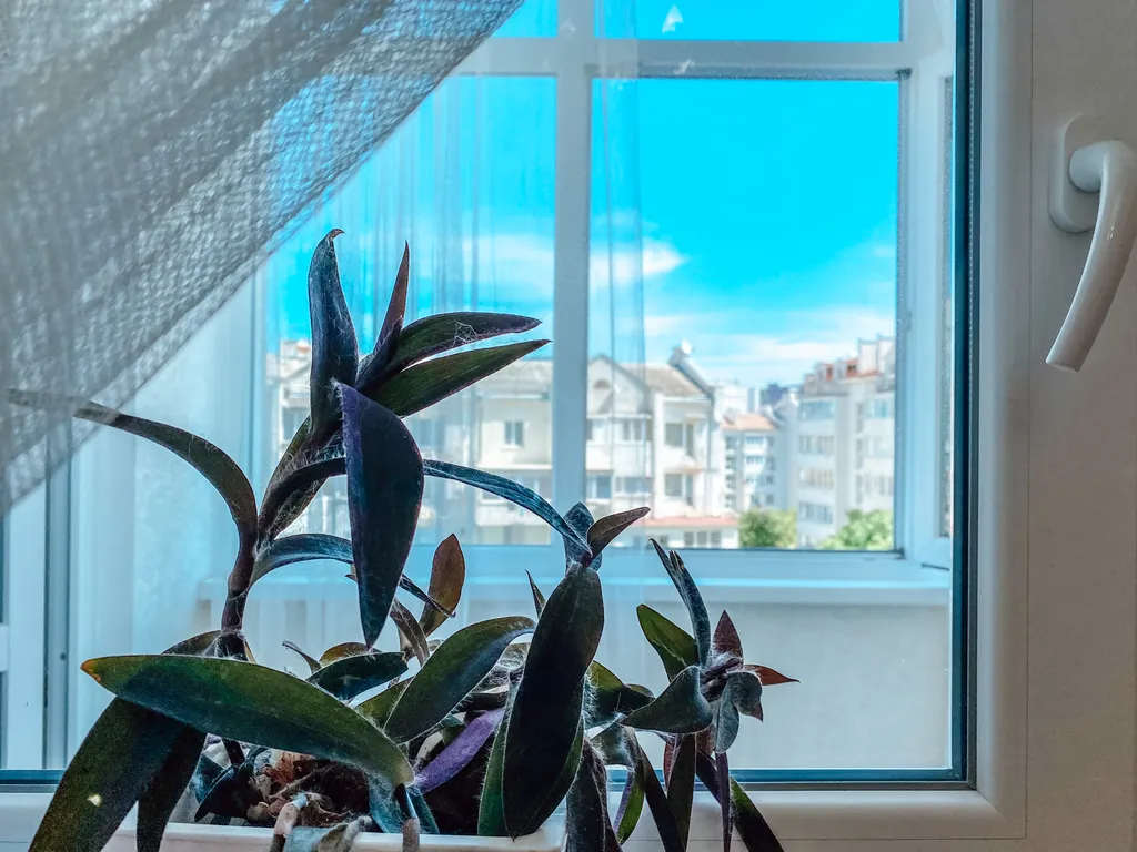 Квартира Современная квартира с автопарковкой — Севастополь