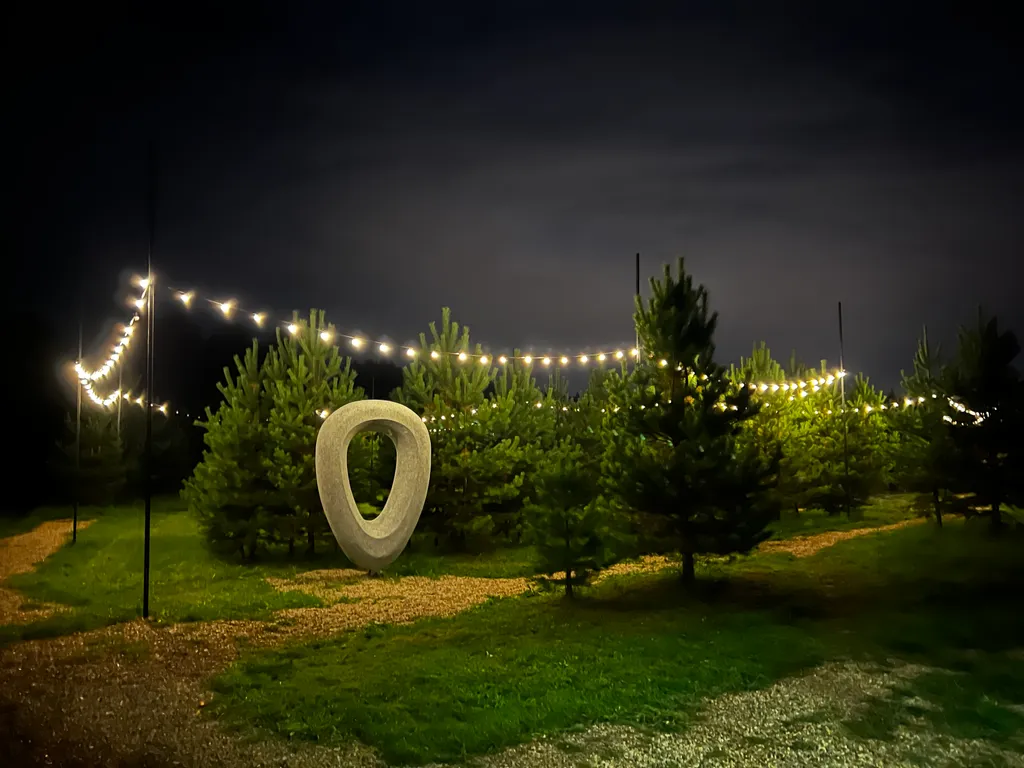 Уютный домик в сосновом лесу