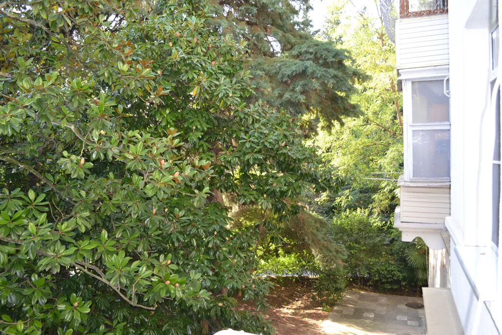 Квартира Квартира у Дендрария — Сочи