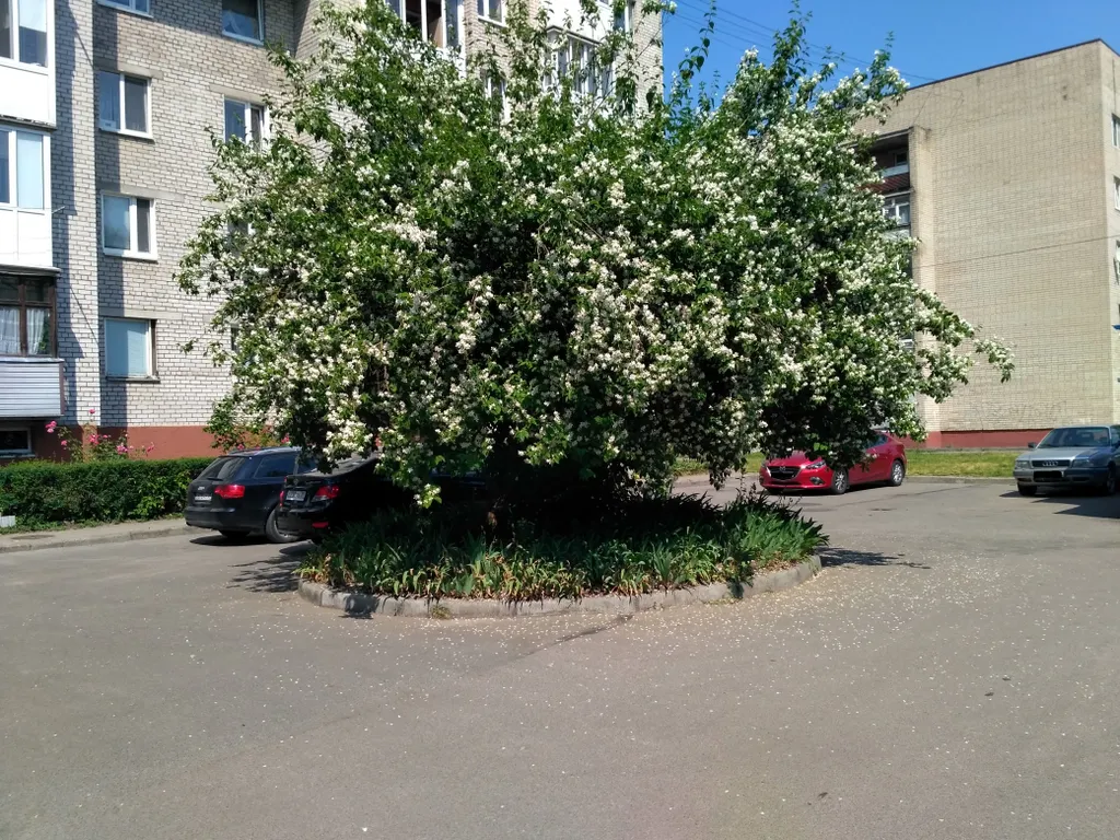 Квартира Уютная трехкомнатная квартира у Южного парка — Калининград