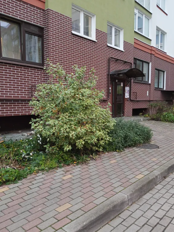 Квартира Уютные апартаменты в новом ЖК — Калининград