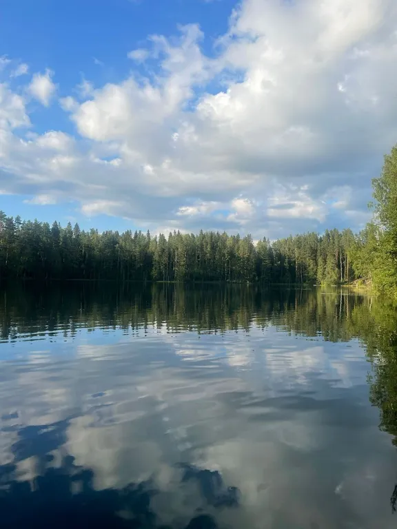Гостевой дом у озера в лесу маркова заимка