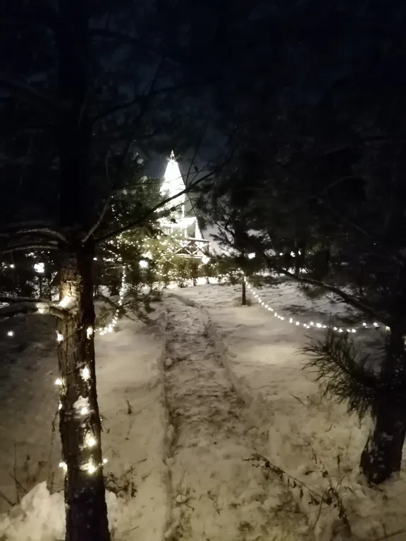 Романтический отдых в доме на границе с лесом