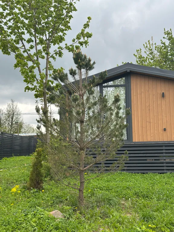 Домик Муус - уютный коттедж на отдельном участке