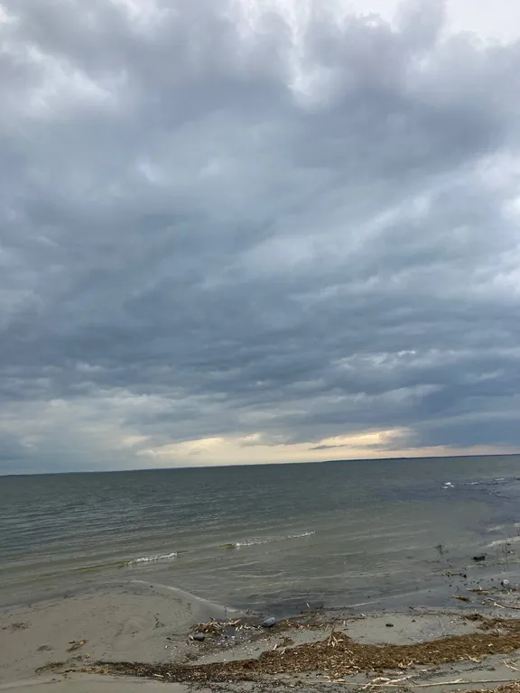 Домик целиком в лесу на берегу залива