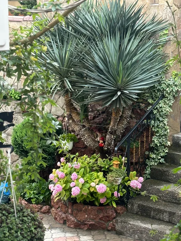 Коттедж Коттедж с отдельной беседкой — Алушта