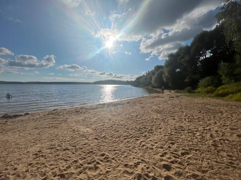 Экологически чистый дом