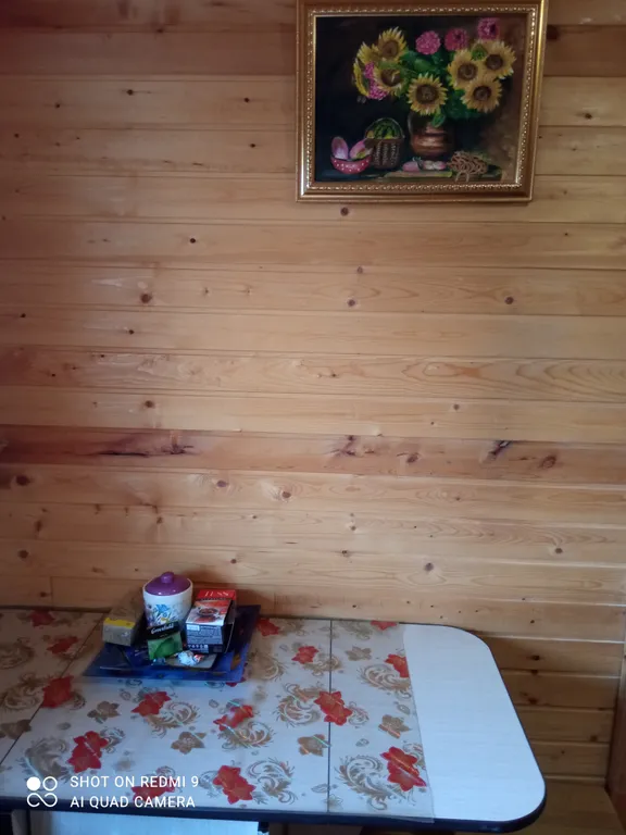 В гостях у сказки 2