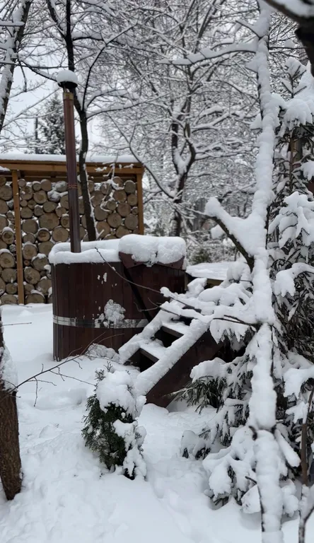 Купольный дом с баней и купелью в лесу в Москве