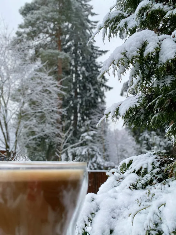 Втерем-ок: атмосферный дом с видом на лес, чан, баня на дровах, очаг