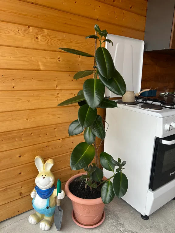 Гостевой дом Бармышь