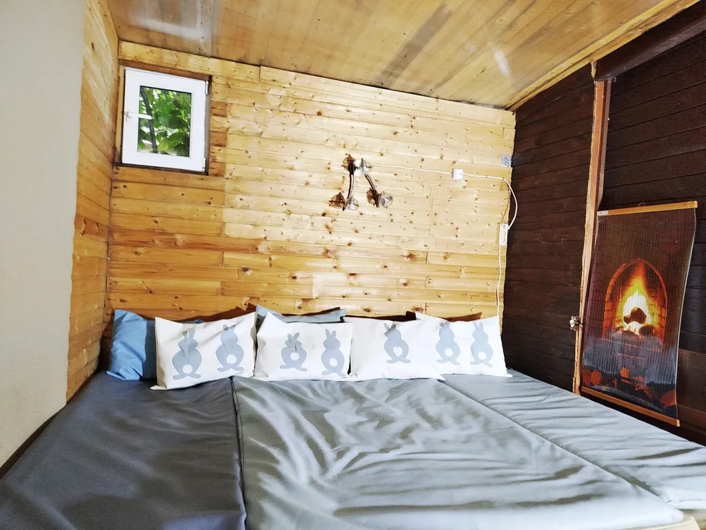 Коттедж Коттедж Зимняя дача в Переделкино с сауной и купелью — Москва