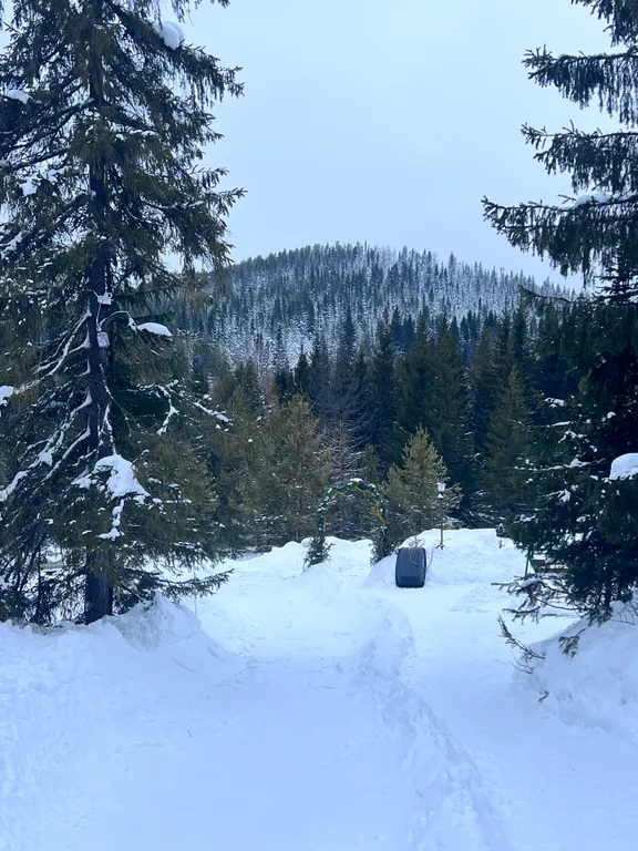Альпийское Шале Франция Калинин Двор Гора Белая