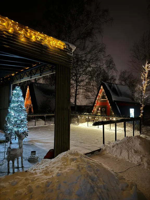 Уютный дом на берегу озера в березовой роще