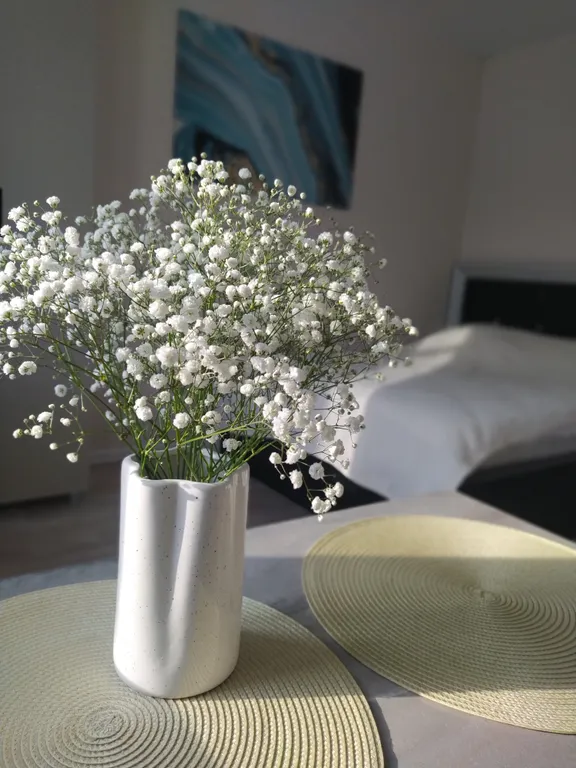 Студия в центре города