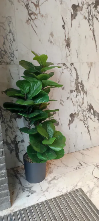 Идеальная квартира в самом центре Рязани