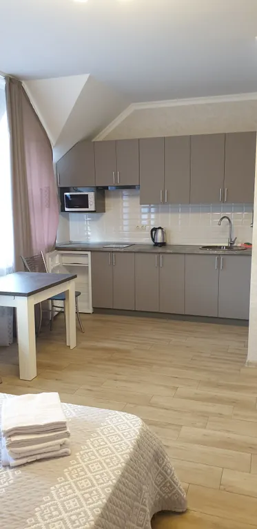 Уютная студия в центре города