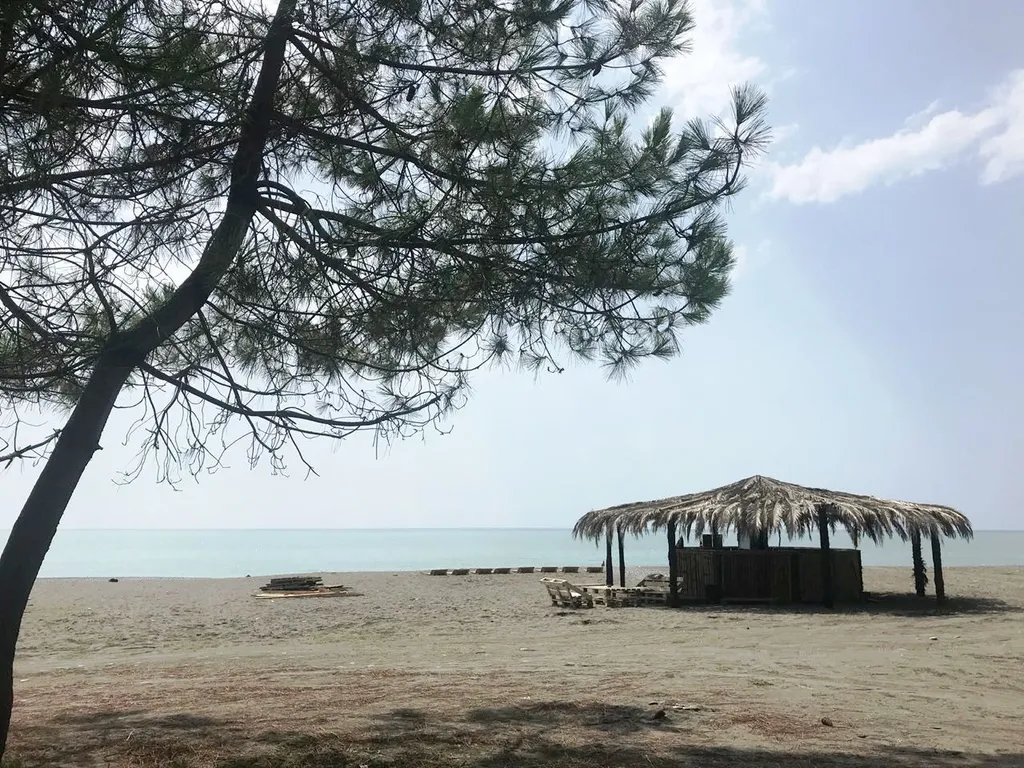 С видом на снежные горы, синее море, сосновой рощей 2 комн квартира