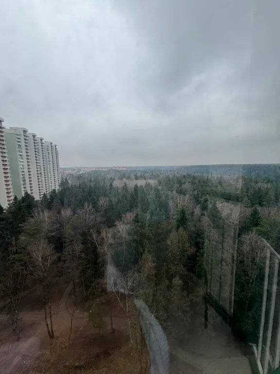 Шикарная двухкомнатная квартира с кузней- гостиной с видом на лес