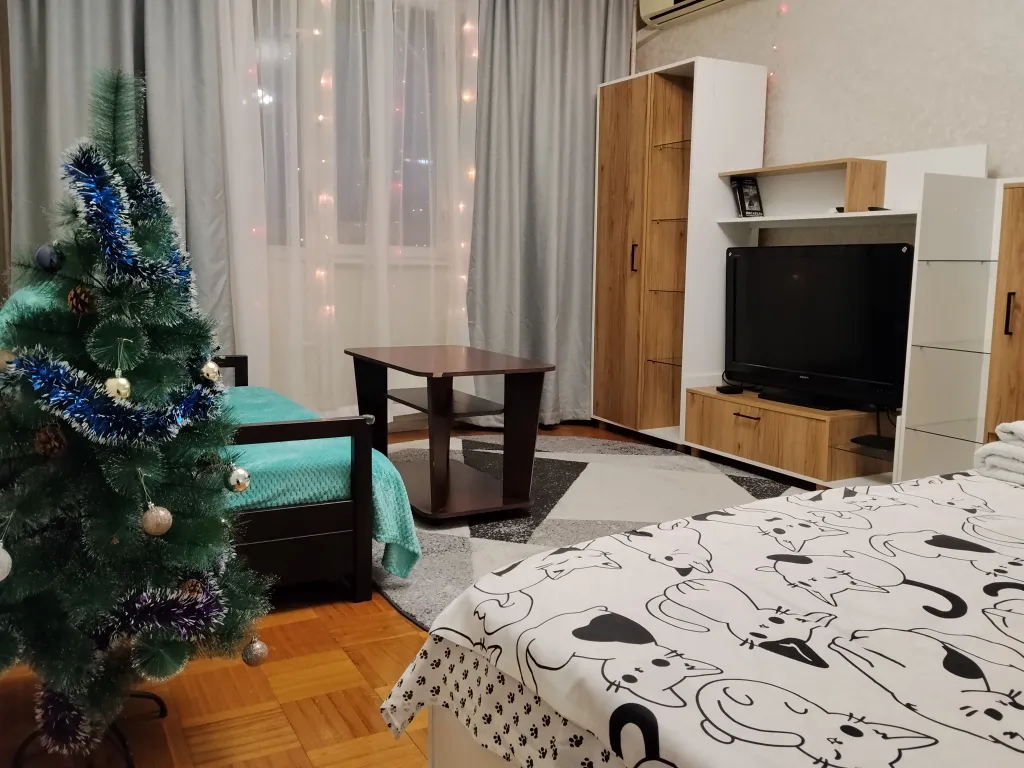 Квартира с видом на Москва сити
