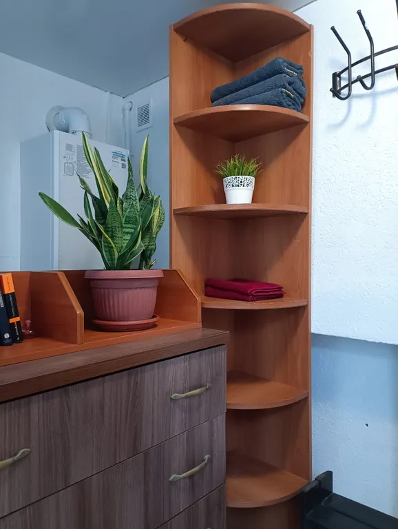 Студия в частном доме в Центральном районе