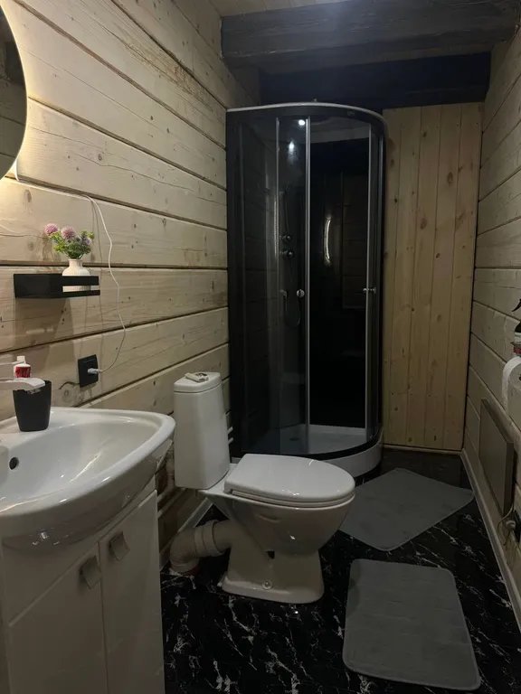 Дом с сауной, сауна безлимит