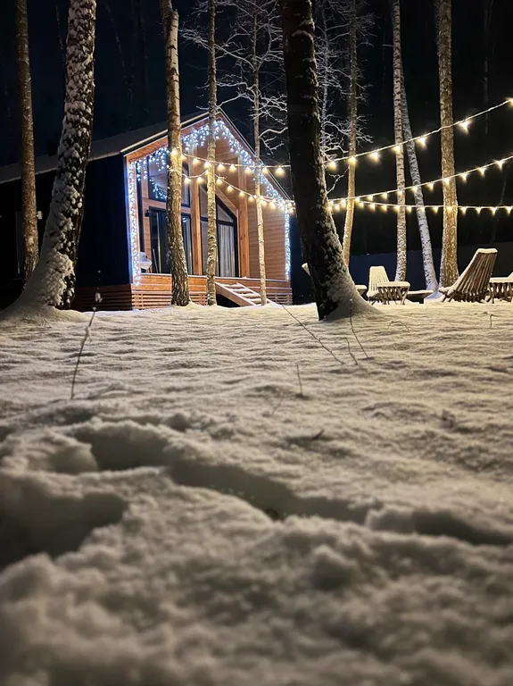 Коттедж Домик в лесу с камином и банным чаном — Москва