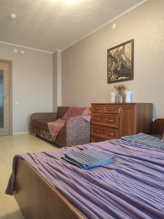 Большая светлая квартира рядом с центром города