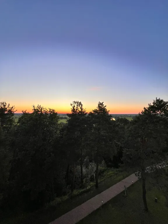 Видовая квартира в сосновом лесу