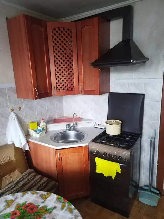 2-комнатная квартира с видом на лес и недалеко от монастыря