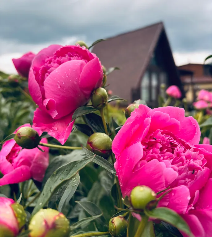 Дом в окружении гор