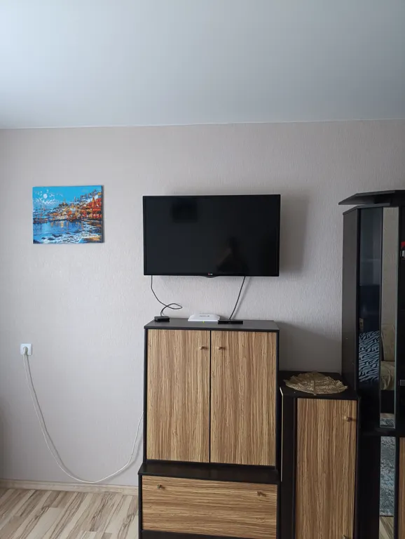 Чижовка Арена, Дельфинарий, Дино-парк, метро Автозаводская 10мин