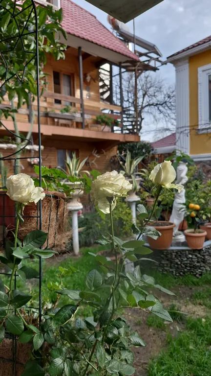 Квартира Комната — Сириус