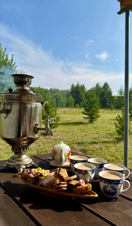 Дом на большом лесном участке Дача интроверта