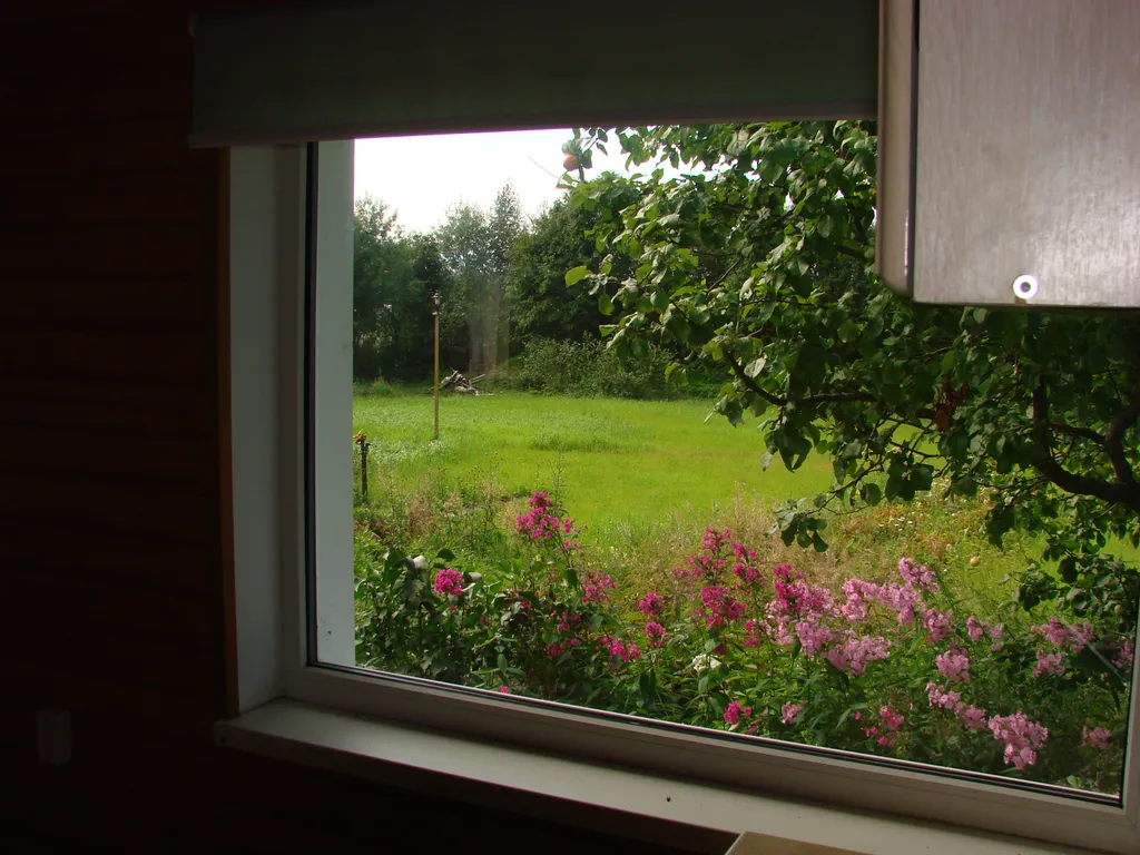 Отдых в Карелии со вкусом