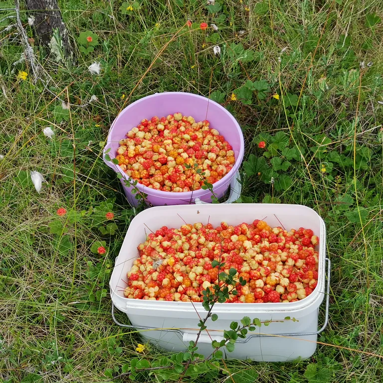 Отдых на Белом море